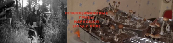 дмт Заволжск