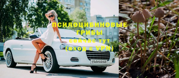 дмт Заволжск