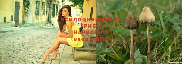 прущие крисы Заводоуковск