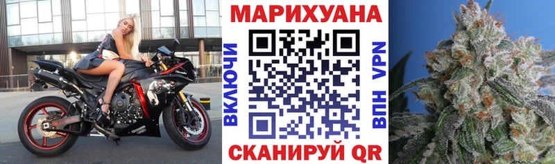 Бошки марихуана Bruce Banner  Купить  Дубовка 